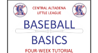 Join CALL for Baseball Basics